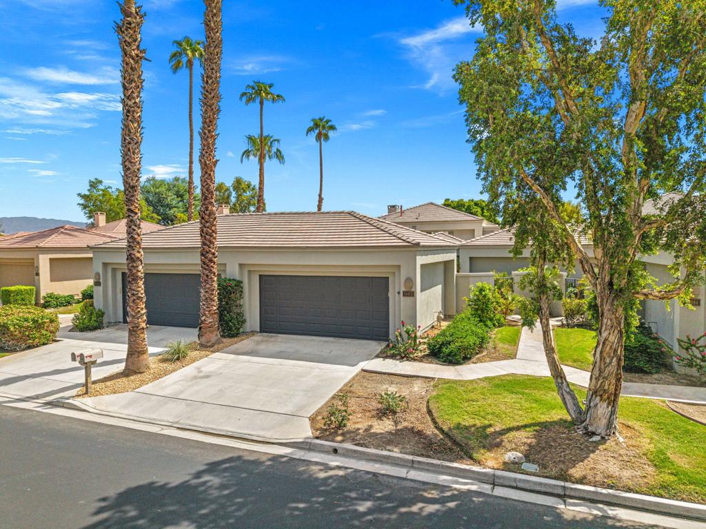 54872 Oak Tree A31