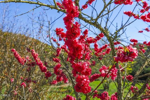 Tiny photo for 4620 Casitas Pass Road, Ventura, CA 93001 (MLS # V1-29098)