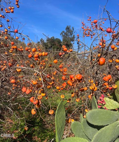 Tiny photo for 4620 Casitas Pass Road, Ventura, CA 93001 (MLS # V1-29098)