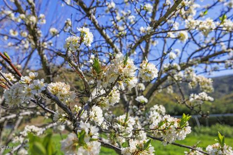 Tiny photo for 4620 Casitas Pass Road, Ventura, CA 93001 (MLS # V1-29098)