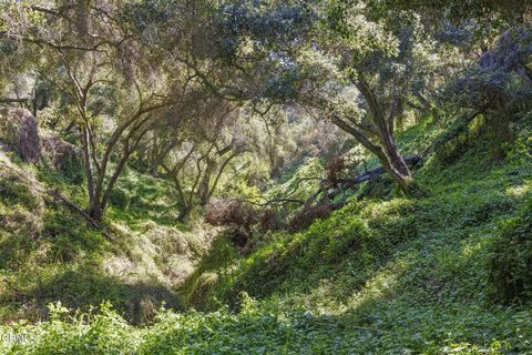 Tiny photo for 4620 Casitas Pass Road, Ventura, CA 93001 (MLS # V1-29098)