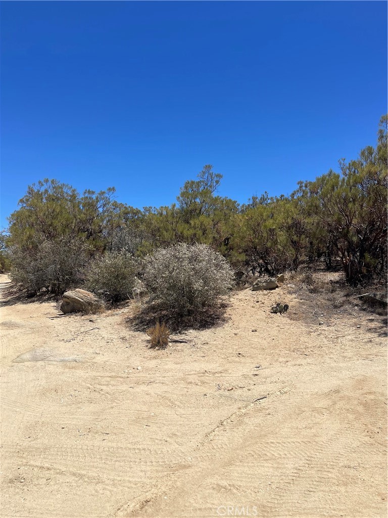 Owner willing to carry with large down. This beautiful 20.14 acre parcel is in a private location so many are seeking. This property is at a end of a quiet country road. Very few neighbors. Borders BLM/Anza Borego state park lands. Lush natural vegetation and lark rock outcroppings are the perfect setting for this view property. Climb on the rocks and watch the night skies. Very Unique. Owner has a 600 foot well up & running. Fenced (partially) and gated for privacy and security. Not far from paved road. No electric on property. Some improvements. Small storage sheds 360 degree views of surrounding mountain ranges. Come bring your horses.