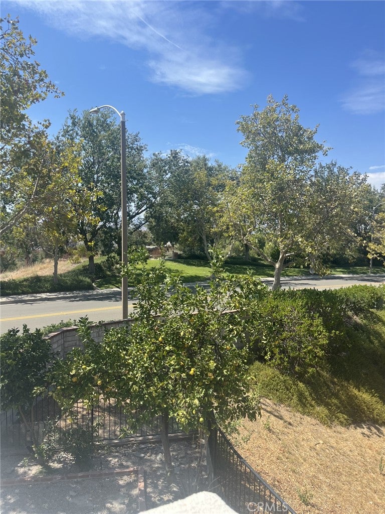 24502 Windsor A