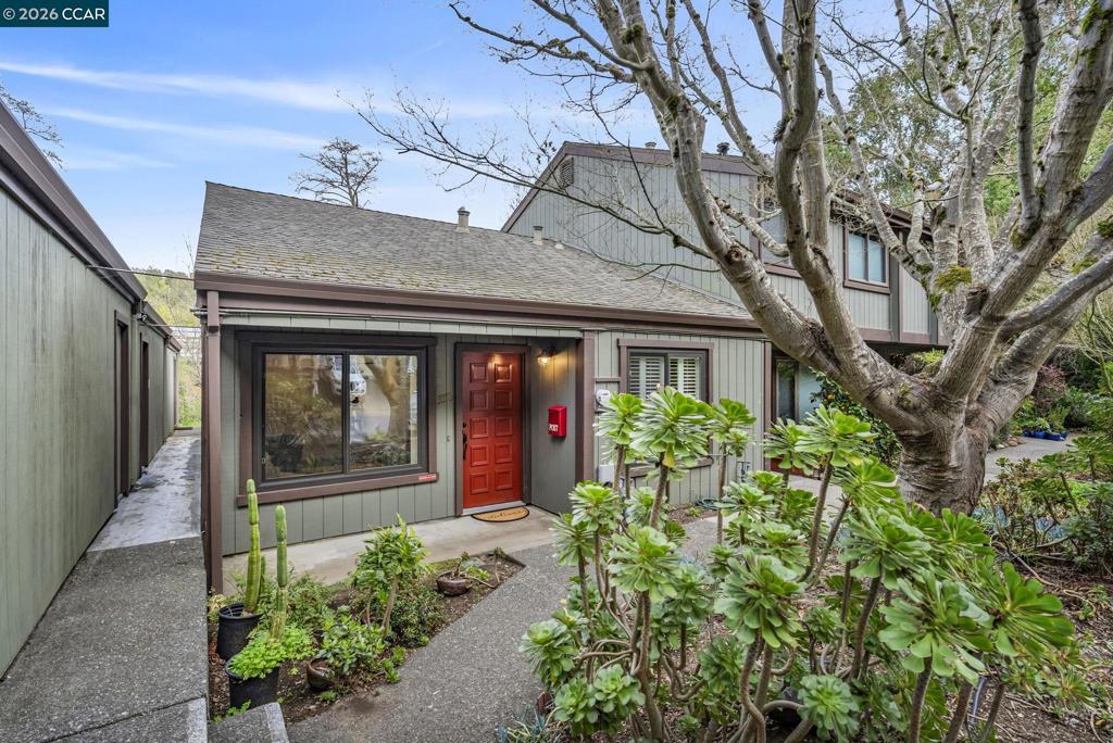 338 Olema Rd