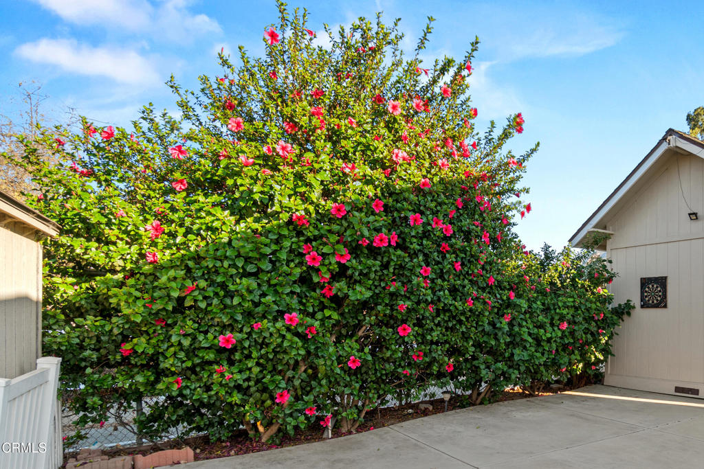 Lamplighter MHP - 0451 - Manufactured In Park