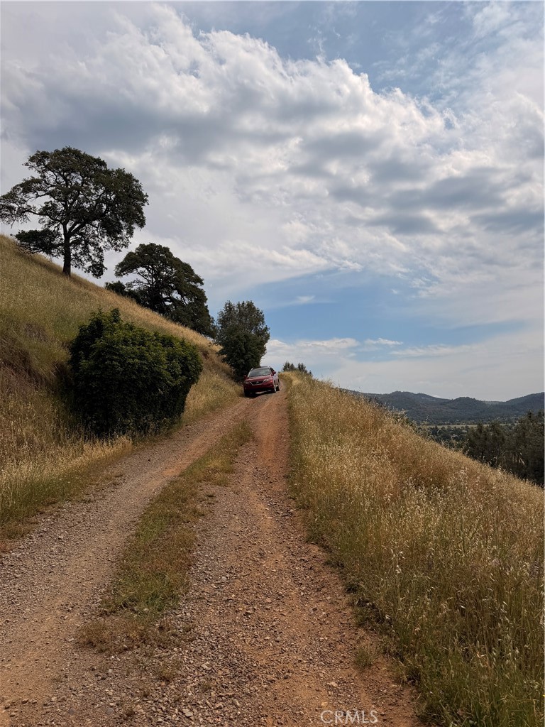 12446 Mountain View