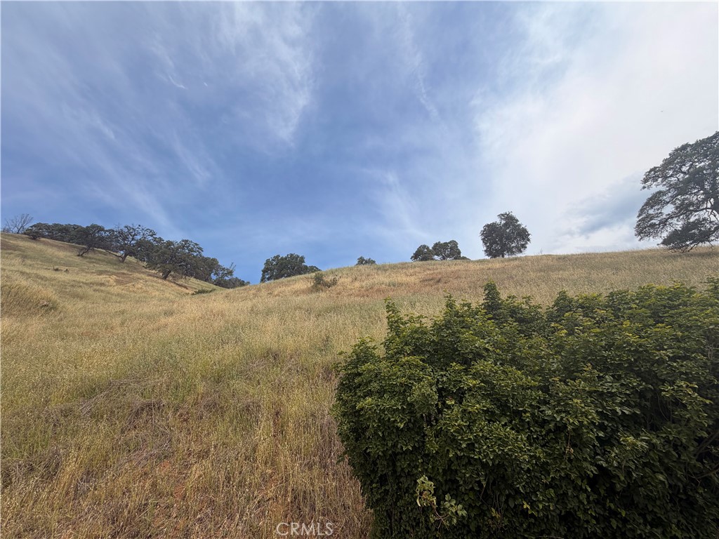 12446 Mountain View
