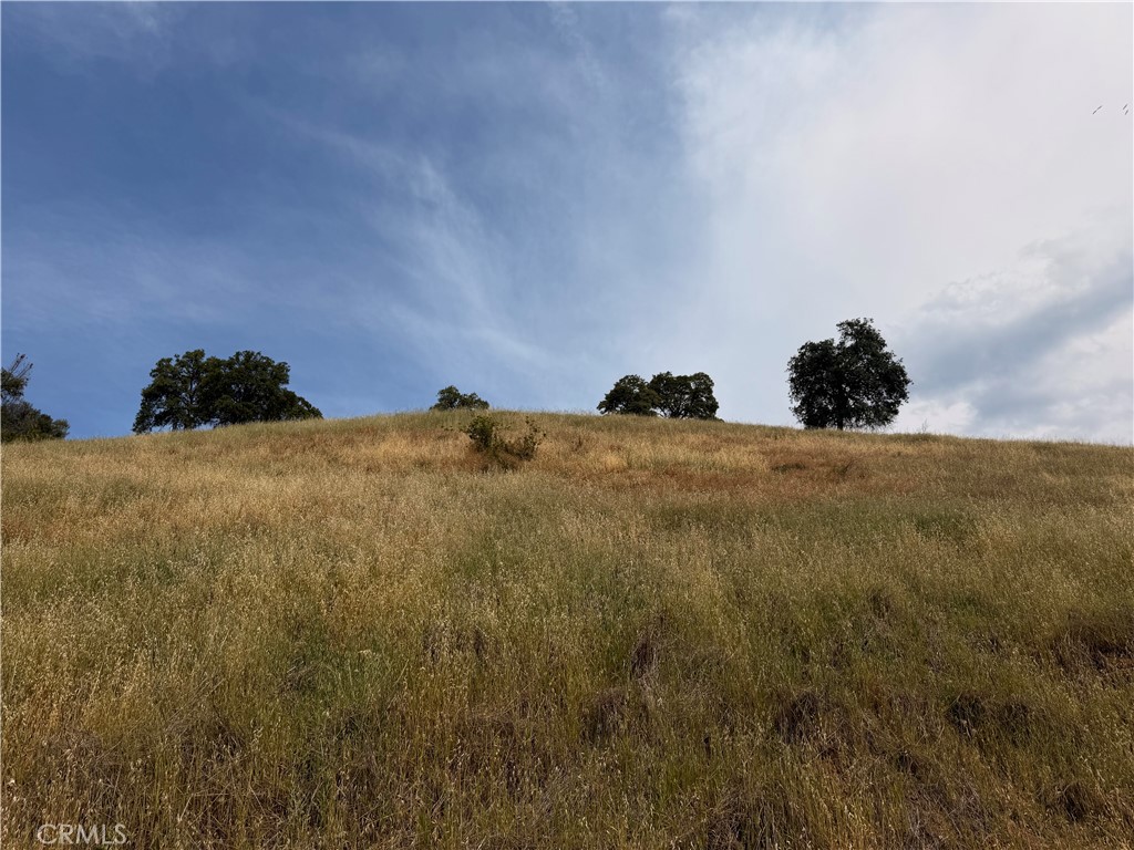 12446 Mountain View