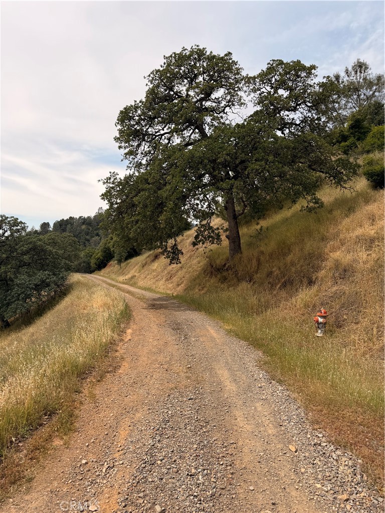 12446 Mountain View