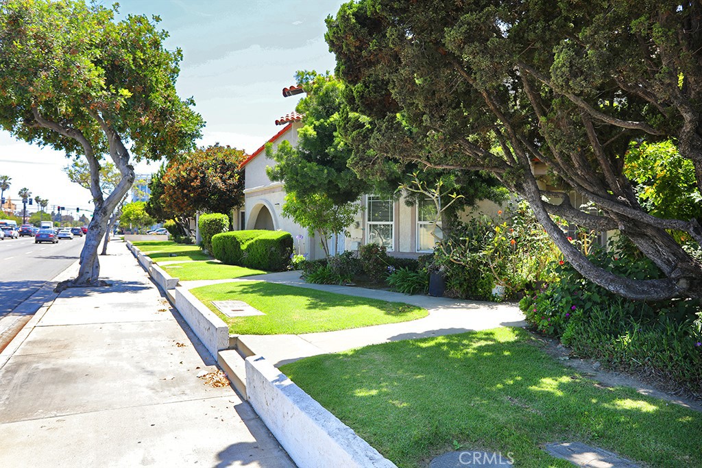 13905 Magnolia Street