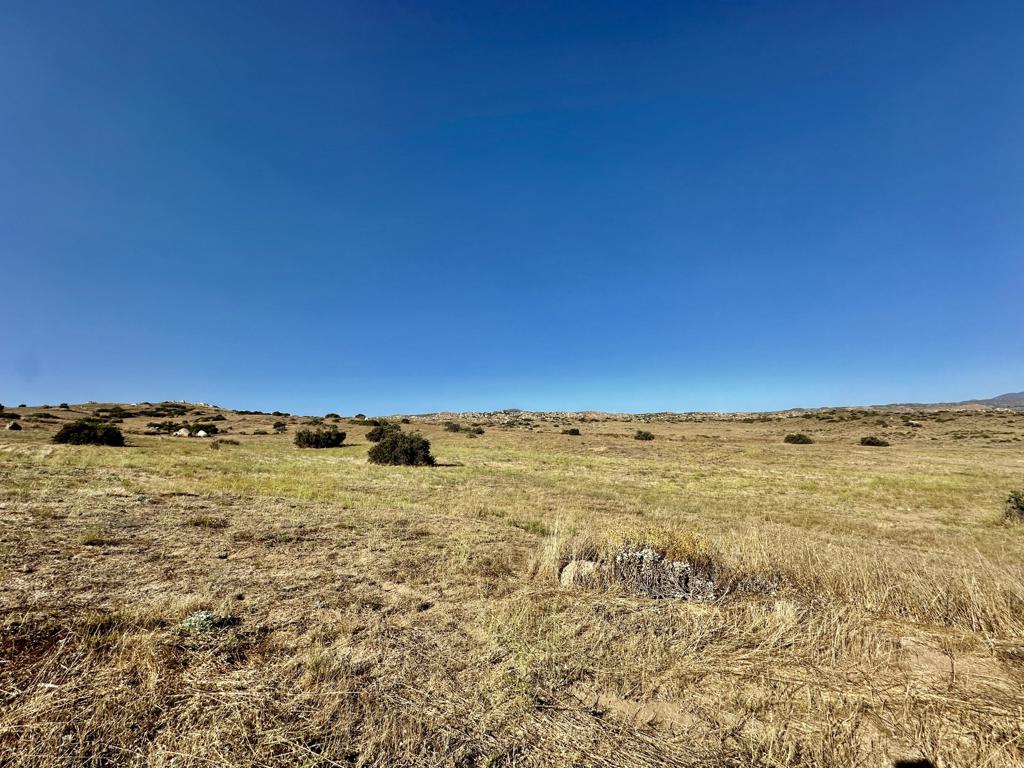 This Perfect patch of dirt is where your dream home starts to take place. On 4.85 acres, of mostly flat land with mountain range views your plans become a reality. Palomar View Estates is a gated equestrian community. Property includes Percolation study from March 2022 for a 4 bedroom house. Make this a must see today.
