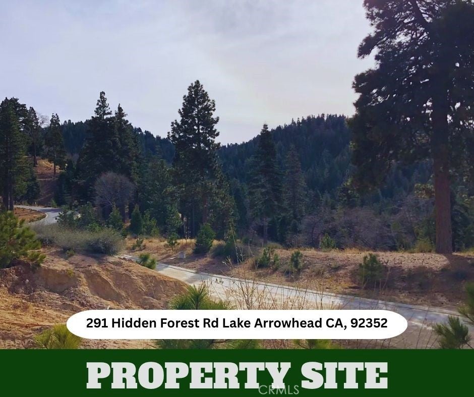 291 Hidden Forest