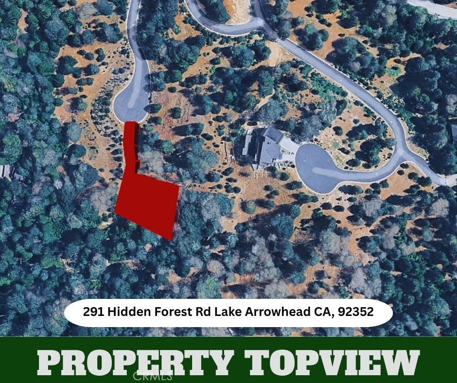291 Hidden Forest