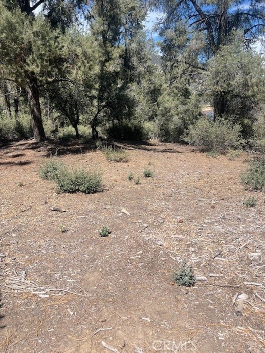 *****PRICE REDUCTION!!!!****Welcome to your new dream lot! This great vacant lot offers a peaceful setting surrounded by nature. The spacious lot provides ample room to design a home that suits your needs and lifestyle. As a member of the Pine Mountain Club Property Owners Association, you'll have access to a wide array of amenities, including a heated pool, a soothing spa, tennis and pickleball courts, a USGA-rated 9-hole golf course, Lampkin Park with basketball and volleyball courts, an archery range, horse stables, a dog park, a camping site, Fern's Lake, and an extensive network of hiking and biking trails. Our community also provides a 24-hour manned fire station with a helipad, 24-hour patrol, a clubhouse with a restaurant, and daily activities for all ages. Trash and recycling, street paving, and snow removal. Pine Mountain Club is perfect for outdoor enthusiasts and wildlife lovers, offering an active and vibrant lifestyle.  I can't wait to show you around our amazing town!