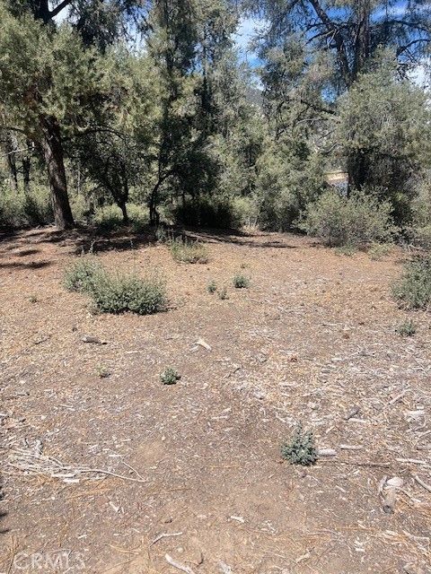 Photo of 2426 Cedarwood Dr, Pine Mountain Club, CA 93222 (MLS # SR25176507)
