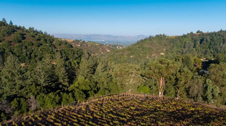 Welcome to an extraordinary opportunity to shape your own haven of sophistication and exclusivity. This exceptional property, positioned just minutes from downtown Saratoga, presents an exceptional canvas for the creation of a secure estate compound, tailored to your personal or corporate vision. Nestled at the juncture of dynamic Silicon Valley and the majestic Santa Cruz Mountains, this hidden paradise spans nearly 60 acres, offering a picturesque blend of diverse topography reminiscent of Mendocino, Tuscany, and Yosemite - all in one singular property. Enveloped by a pristine redwood forest, towering mountain views, flourishing old-growth vineyards, captivating spring-fed streams, and distinctive rock formations. Within this lush expanse, explore awe-inspiring homesites harmoniously coexisting with unspoiled wildlife. The property has been thoughtfully prepared for development with each of the five parcels allowed to have a home and an ADU. Modern conveniences such as high-speed fiber internet and PG&E electricity are seamlessly integrated into the infrastructure along with an existing main residence, ADU, and two barns. A rare opportunity to build something remote and private, yet close to all that Silicon Valley has to offer.