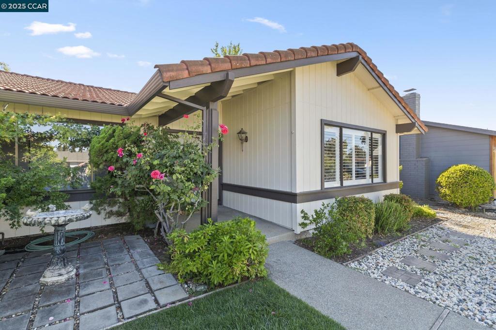 323 York Ct