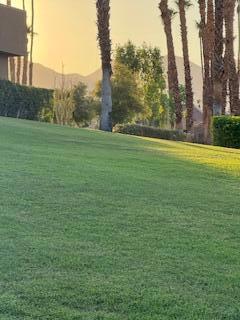 73457 Irontree Drive