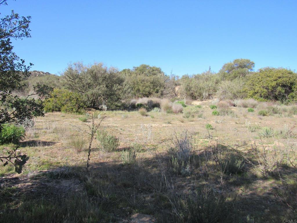 4 .38 acres Buckman Springs Rd