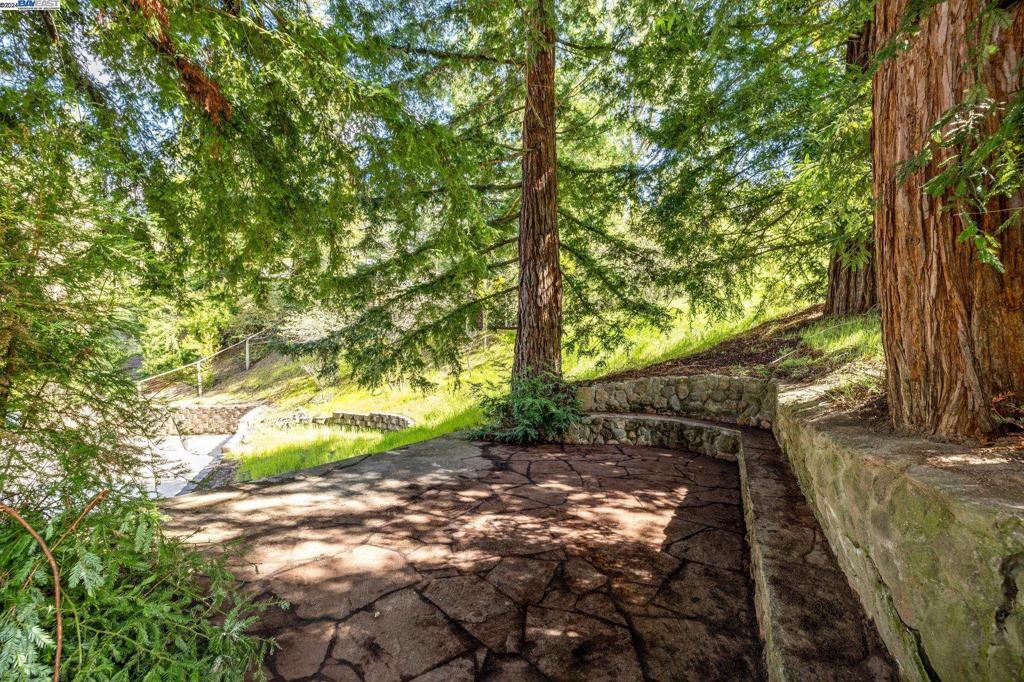 SADDLEBACK - Residential