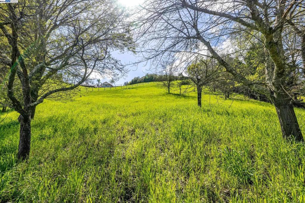 SADDLEBACK - Residential