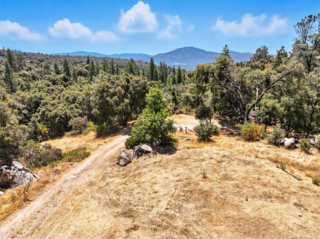 46467 Bissett Station Road