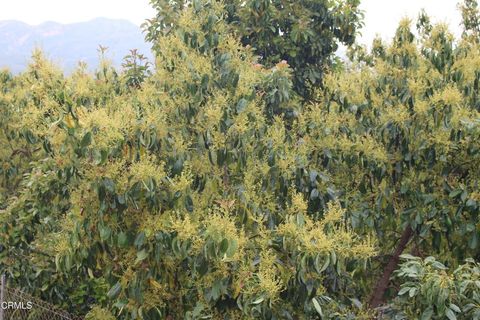 Photo of 0 Camulos Street, Piru, CA 93040 (MLS # V1-35515)