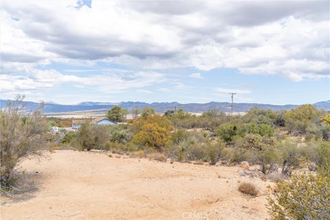 Tiny photo for 58175 Bliss Road, Anza, CA 92539 (MLS # SW26196548)