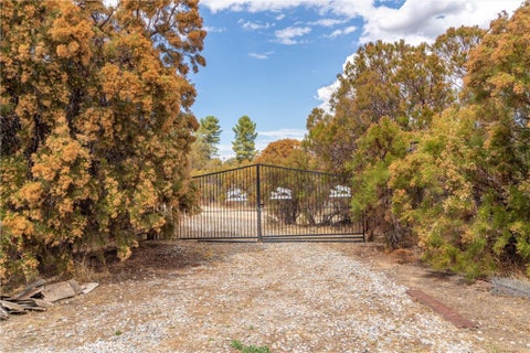 Tiny photo for 58175 Bliss Road, Anza, CA 92539 (MLS # SW26196548)