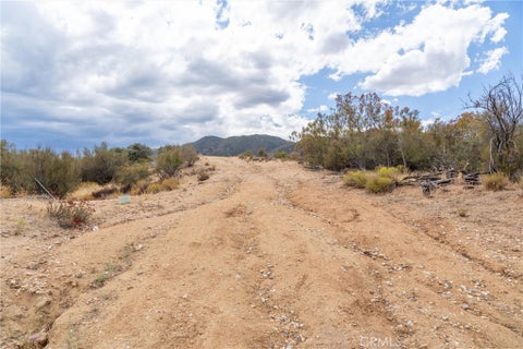Tiny photo for 58175 Bliss Road, Anza, CA 92539 (MLS # SW26196548)