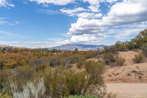 Tiny photo for 58175 Bliss Road, Anza, CA 92539 (MLS # SW26196548)