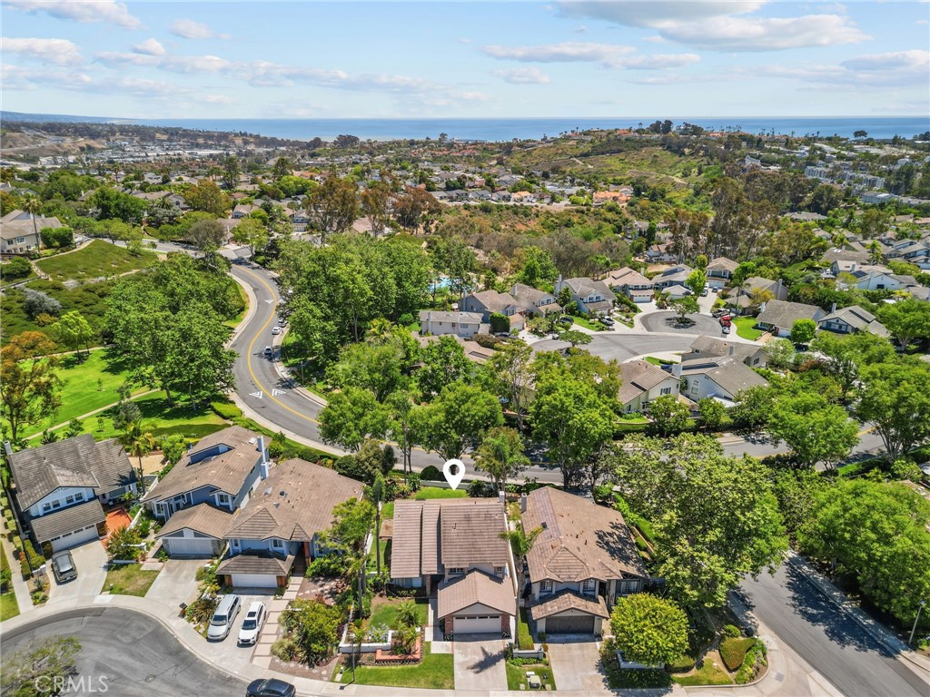 24962 Danafir