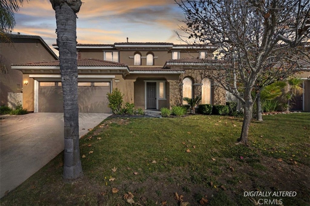 27737 Hackberry