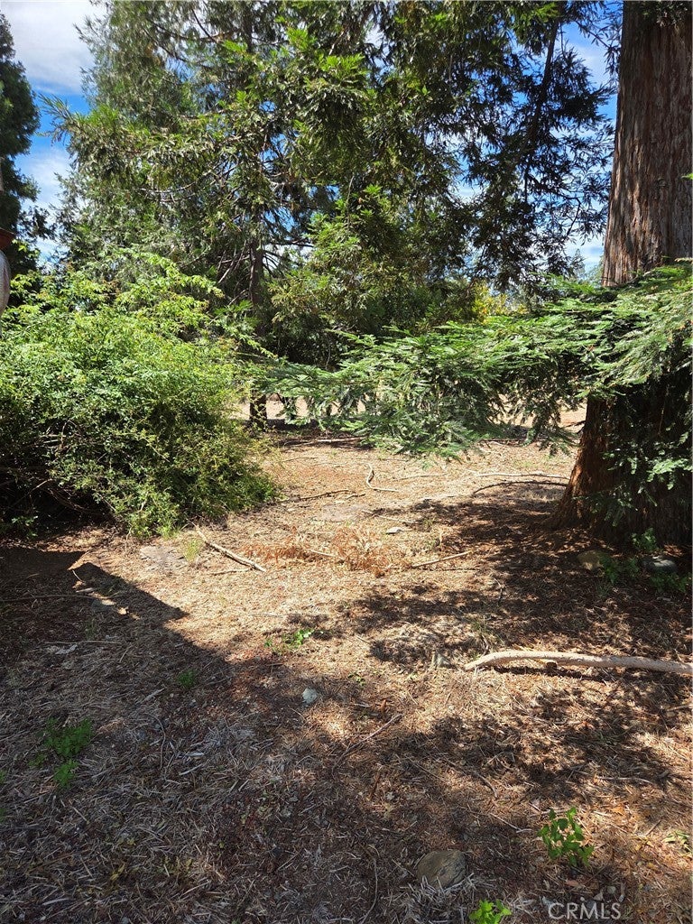 1572 Adams Road
