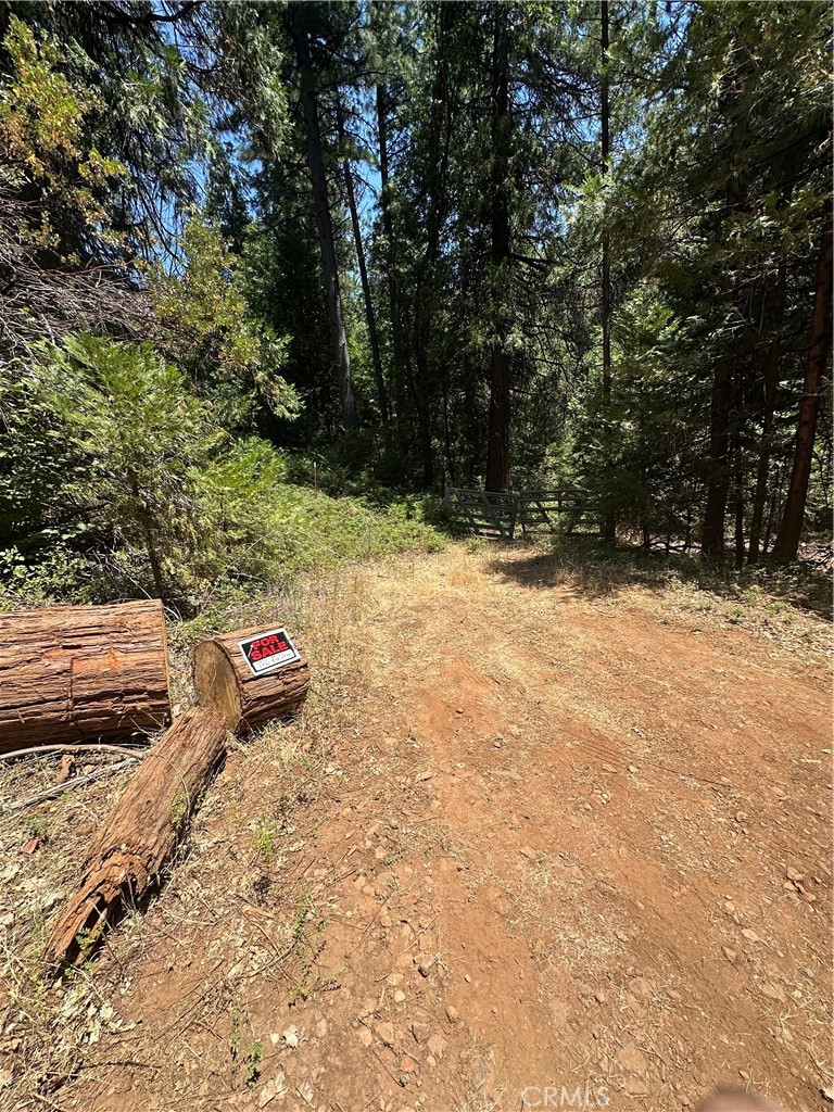 0 Slalom Lane