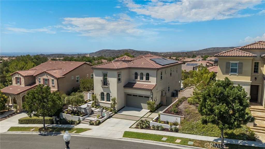 37 Barberry