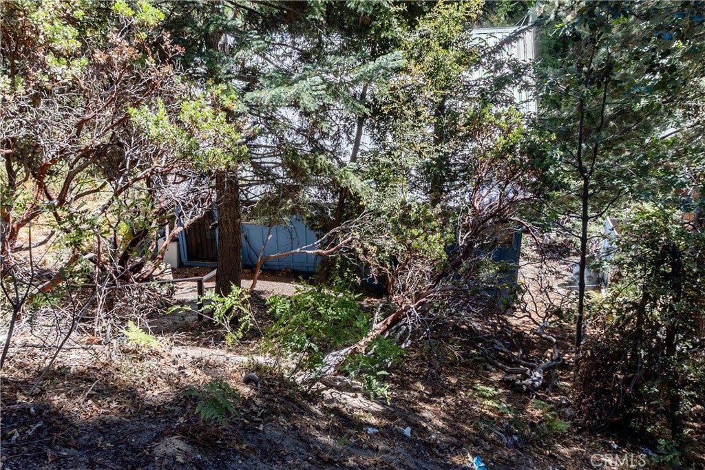 5895 Robin Oak