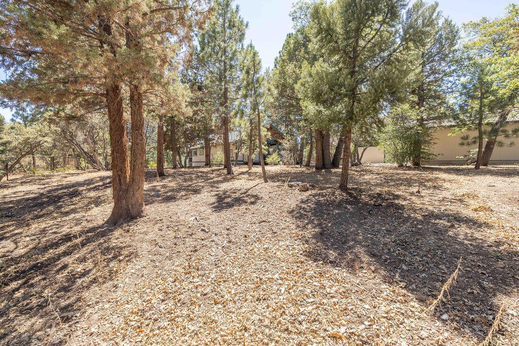 0 Plumas Court