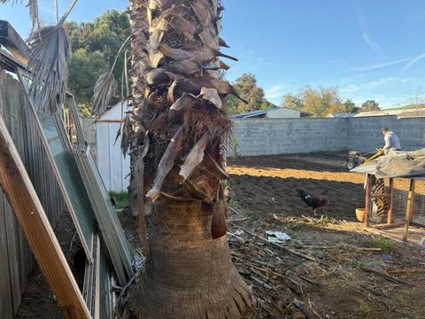 Tiny photo for 165 S 4th Street, Shandon, CA 93461 (MLS # ML82028985)