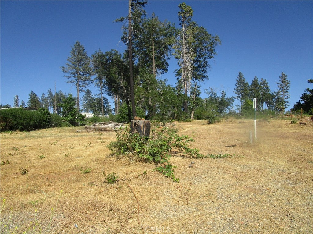 1323 Taylor Lane