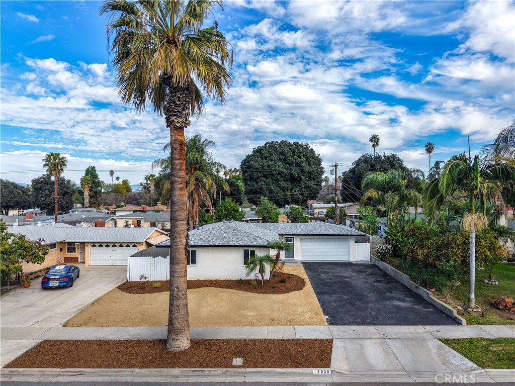 4035 Madrona