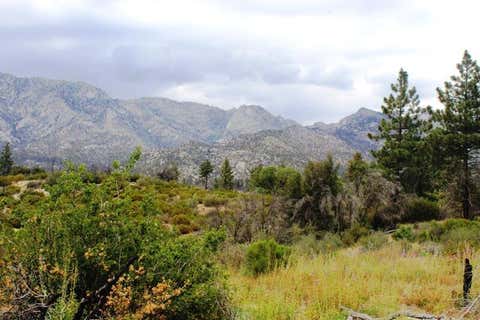 Photo of 0 Bonita Vista Road, Mountain Center, CA 92561 (MLS # 219150982DA)