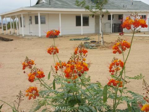 Photo of 62323 Mars Drive, Joshua Tree, CA 92252 (MLS # JT26024523)