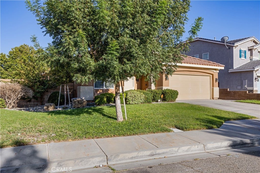 44340 Acacia