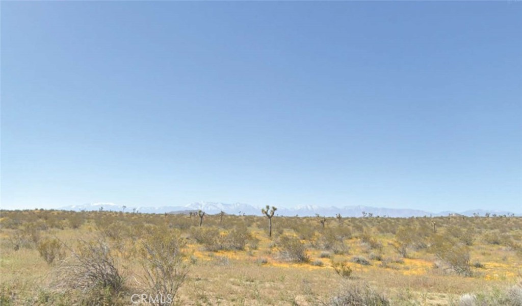 Great opportunity to own 2.5 acres of level land in the Hi Vista area of the Antelope Valley. Beautiful desert and mountain views. Enchanting Starry nights. Perfect site for recreation or weekend getaways, RV's ATV's, camping and hiking. Perhaps build your future retirement home or ranch here. Overhead power at Ave E8 and and Ave G.