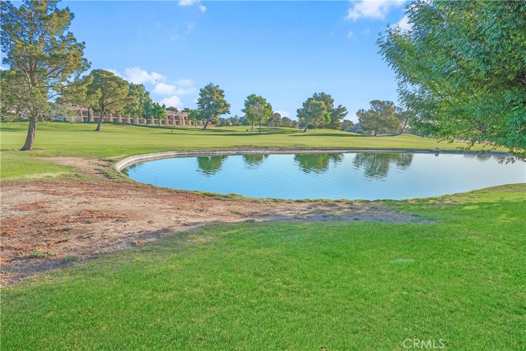 27535 Lakeview Drive 37