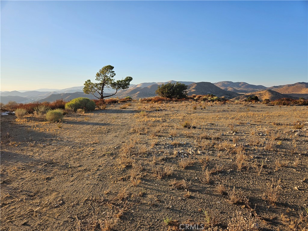 0 Angeles Forest