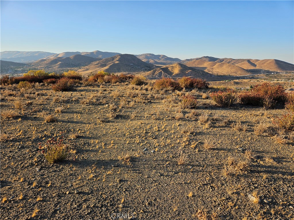 0 Angeles Forest