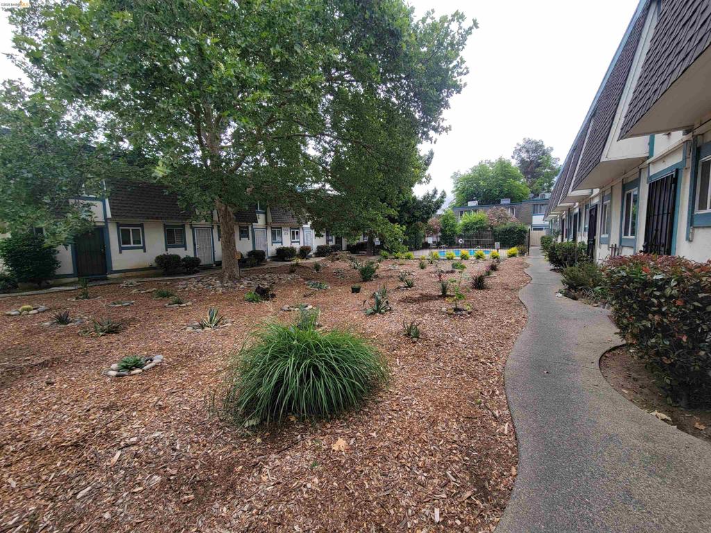 3905 Clayton Rd 12