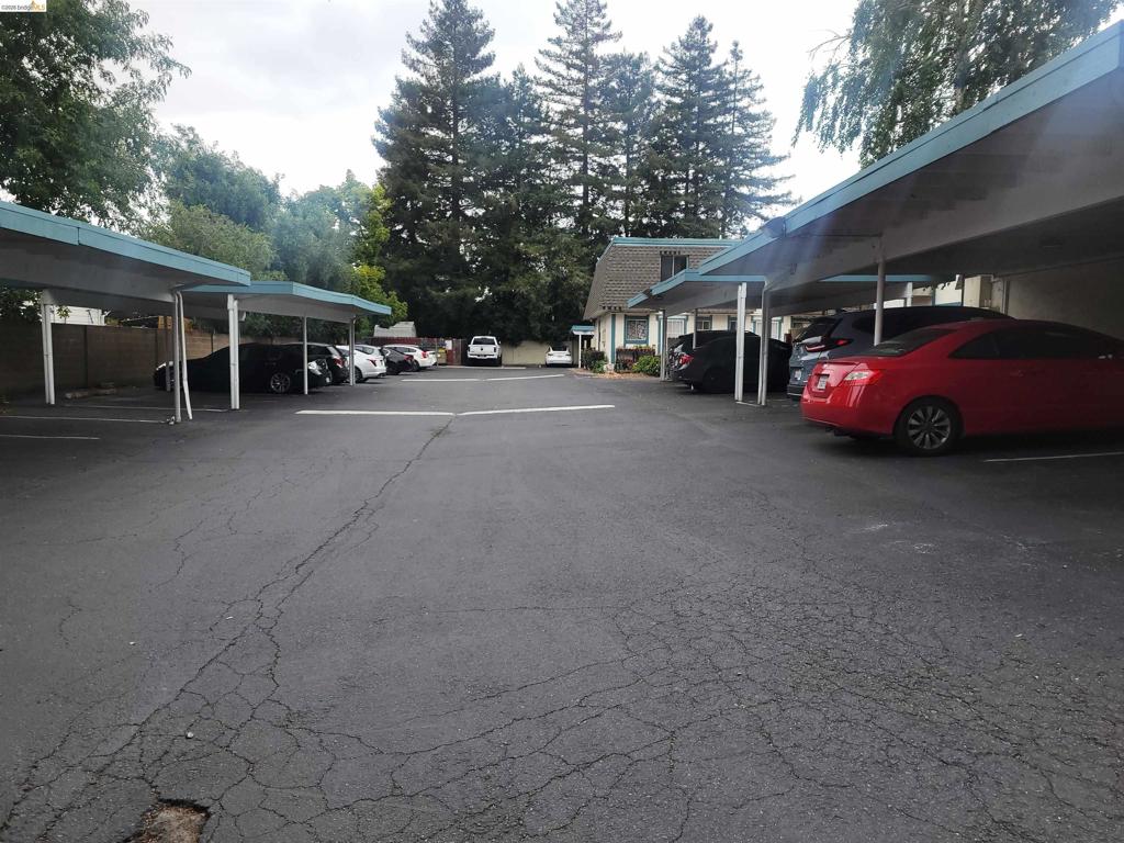 3905 Clayton Rd 12